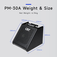 Amplificateur de batterie électronique CSY PM-30A |   Contrôleur de volume indépendant pour batterie et entrée ligne, commutateur Bluetooth |   Égaliseur 3 bandes, 30W RMS / 50W de crête