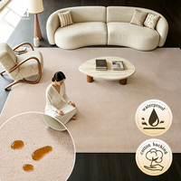 Tapis de chambre Dsermer grand format, personnalisé, de luxe, imperméable, résistant aux taches, en polyester, vente en gros