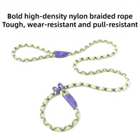 Accessoires pour animaux de compagnie chats et chiens Nylon Luxe Collier et ensemble de laisse pour chien Corde laisse glissante