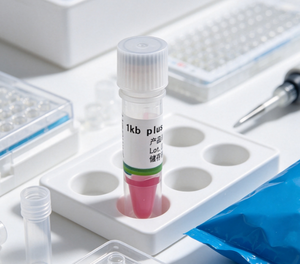 1 <span class=keywords><strong>kb</strong></span> plus marqueur d'échelle ADN - Product Image 4