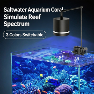 Lampe à pince LED 20W bleue et blanche réglable <span class=keywords><strong>pour</strong></span> <span class=keywords><strong>aquarium</strong></span> d'<span class=keywords><strong>eau</strong></span> salée et d'<span class=keywords><strong>eau</strong></span> <span class=keywords><strong>douce</strong></span>, corail, plante aquatique, aquascape <span class=keywords><strong>pour</strong></span> <span class=keywords><strong>aquarium</strong></span> de poissons, économe en énergie - Product Image 4