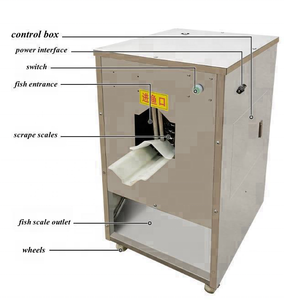 Máquina Eléctrica de Alta Eficiencia para Remover Escamas de Pescado - Product Image 6