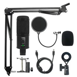 BMG USB-K2 Best Brand Studio Singing Microphone USB Condenser Microphone Bundle Kit with Arm Stand