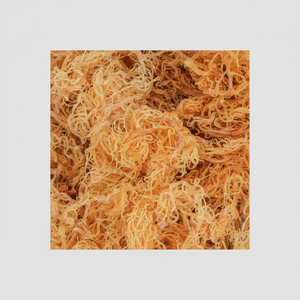 มอสทะเลไอริชตากแห้ง (kappaphycus alvarezii) ในราคาที่ดีที่สุดจากเวียดนาม // Ms. shyn - Product Image 1