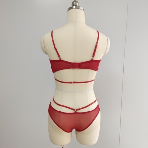 Set di Lingerie Sexy Trasparente in Pizzo di Alta Qualità, Reggiseno e Slip Femminili, Set Provocante per Passione e Flirt - Product Image 6