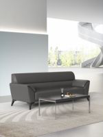 Ensemble de canapés de bureau exécutifs en cuir, modernes, écologiques, durables, avec cadre en bois et pieds en métal, siège individuel