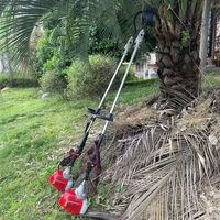 Twee-takt benzine palmboomknipper met lange steel, landschaps- en snoeimachine, verlengde reikwijdte, palmvruchtenoogstmachine