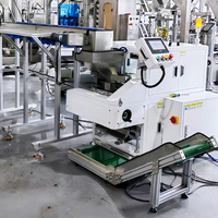 Máquina Contadora de Cámara con Componentes Electrónicos Inteligentes, Máquina de Conteo por Visión, Máquina de Empaquetado