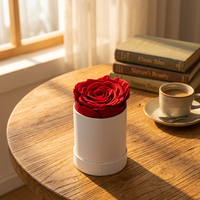 AM-PFB02 Ammy Rose éternelle blanche en boîte cadeau ronde, rose éternelle pour les cadeaux de la Saint-Valentin