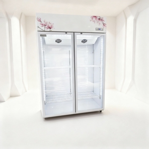 <span class=keywords><strong>Refrigerador</strong></span> Comercial para Exhibición de Flores, Enfriado por Aire, Especializado para Floristerías, Enfriador Viral para Conservación de Flores Frescas - Product Image 3