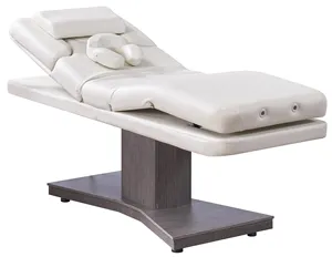 Modern Electric Adjustable Spa Bed Massage Table for Beauty Salon Tattoo