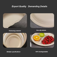 Assiettes jetables biodégradables en bagasse de canne à sucre compostables écologiques compatibles micro-ondes de 7 pouces pour les fêtes