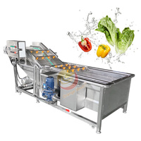 Industriële Verse Groente Fruit Reiniging Droogverwerking Machines Droogdata Wasmachine Te Koop