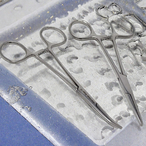 Pinzas para Oídos Reutilizables, Manuales, de Acero Inoxidable, Ligeras y Esterilizables, Juego Ortopédico OEM/ODM, Certificado CE por Blush Surgical - Product Image 3