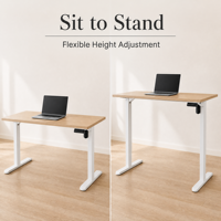 Base de bureau électrique réglable en hauteur D06 à moteur unique et double poutre, capacité 80 kg