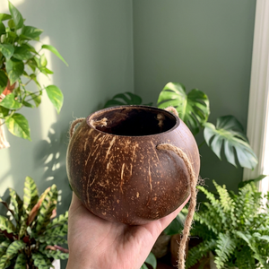 Pot de fleurs en coque de noix de coco naturelle vietnamienne 2026 pour la plantation de fleurs, de plantes et la décoration de votre jardin - Product Image 1