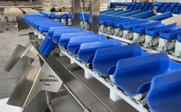 Op Maat Gemaakte Sorteermachine Voor Groenten En Fruit Aardappelsorteermachine