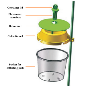 卸売 昆虫フェロモンルアーなし プラスチック製バケツトラップ - Product Image 5