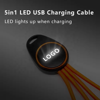 Cadeaux de promotion Câbles de données USB A vers USB C Cordon de chargeur lumineux à LED Câble de charge porte-clés court pour appareils mobiles