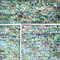 Feuilles naturelles de coquille d'ormeau de nacre bleu/vert pour des meubles/boîte à bijoux/incrustation