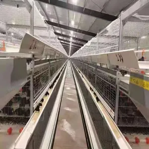 Cages en métal de couche d'oeufs de rendement élevé pour le bon prix de cage intérieure de poulet en Chine