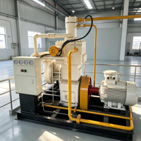 Module de membrane d'automatisation pour le traitement du biogaz 125-1667 Nm3/h – Système automatisé de station de traitement du biogaz/CBG pour l'élevage avicole