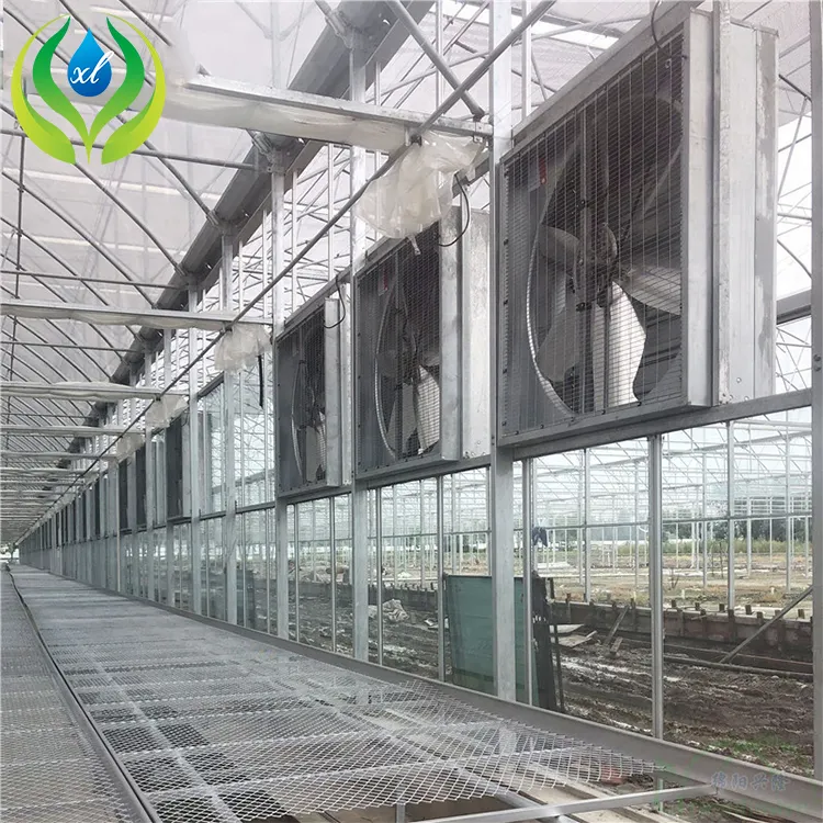 MYXL-ventilador de escape equipado con cortina húmeda, invernadero de túnel de tomate con sistema de refrigeración