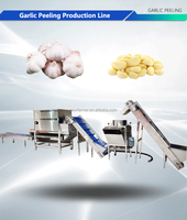 Ligne de production de pelage d'ail en acier inoxydable de qualité alimentaire avec fonction de tri chromatique pour l'usine de transformation des légumes
