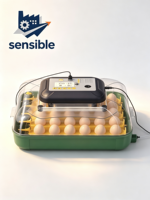 Incubateur automatique pour 34 œufs, couveuse compacte pour poulets, pigeons, cailles, canards, oiseaux, avec fenêtre de visualisation transparente