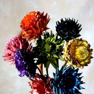 Fleur stabilisée Artichoke <span class=keywords><strong>Desert</strong></span> Candle Protea Fleurs séchées - Livraison directe usine - Décoration d'intérieur de niche légèrement luxueuse pour - Product Image 3