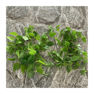 Guirlande murale artificielle verte Suzume II 200 cm en soie, décoration intérieure, accessoires de photographie, écologique - Product Image 5