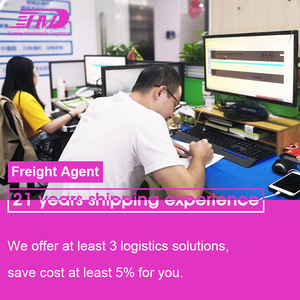 Transportista de carga SWWLS nuevo y de envío con precio competitivo DDU - Product Image 2