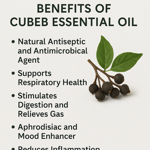 Huile Essentielle de Cubeb Pure et Naturelle pour la Peau, les Cheveux, l'Aromathérapie et les Soins de Massage – Vente en Gros - Product Image 2