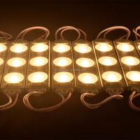 Module LED 2835 2W 98*20mm IP65 étanche 110V/220V 10000-12000K avec 3 LED pour enseignes extérieures