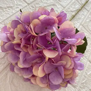 पेशेवर एकल हाइड्रेंजिया फूल रेशम रंगीन हाइड्रेट फूलों की पार्टी सजावट