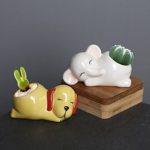 Mini pot de <span class=keywords><strong>cactus</strong></span> et de plantes succulentes au design d'animaux de dessin animé, décoration de bureau XN00403 - Product Image 1