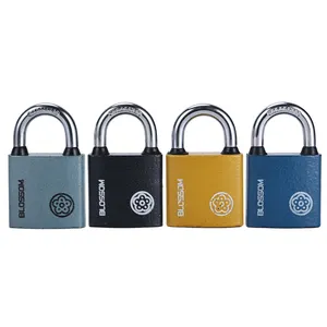 BC2930 32MM毫米花锁挂锁和钥匙短硬化钩环来样定做实心铁挂锁，价格优惠钢挂锁