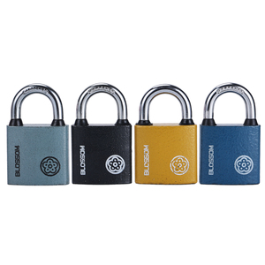 <span class=keywords><strong>Candado</strong></span> de hierro sólido BC2930, cerrojo y llaves de 32MM endurecidas cortas, OEM, gran <span class=keywords><strong>precio</strong></span> - Product Image 1