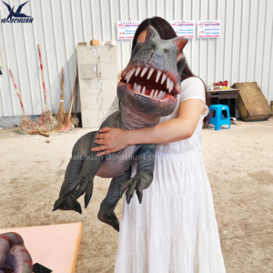 Haichuan tùy chỉnh thực hiện đầy đủ cơ thể thực tế khủng long cánh tay con rối mô phỏng cao animatronic bé khủng long con rối nhấp nháy với âm thanh - Product Image 6