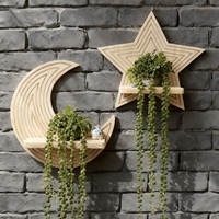 Nouvelle étagère murale créative transfrontalière en bois de pin et jardinière en forme d'étoile et de lune avec artisanat en bois pour la décoration intérieure