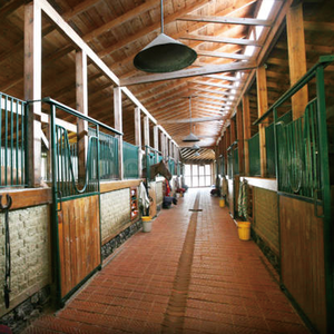 اسطبلات خيول من الخيزران المجلفن عالي التحمل من شركة تشيشيان، ألواح اسطبلات مع باب منزلق - Product Image 4