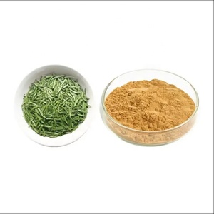 Glass jar of green tea leaf extract powder with lab-grade labeling