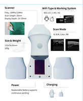 Appareil d'échographie portable pour animaux avec transducteur micro-convexe sans fil pour applications d'imagerie vétérinaire (chiens et chats)
