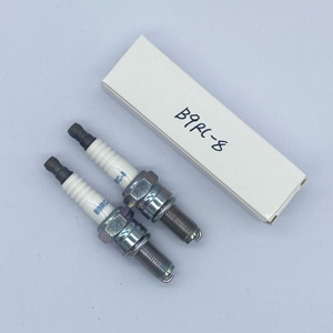 B9RC-8 Candela d'Accensione al Nichel per Auto a Benzina, Tipo CR9EB, Vendita all'Ingrosso di Fabbrica - Product Image 1