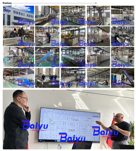 Baiyu Bóc Vỏ Tỏi sản xuất dây chuyền chế biến trái cây và rau máy để tách lột tỏi - Product Image 4