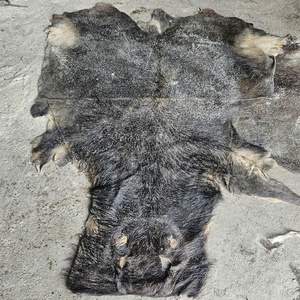 Double Faced Wet Salted Cowhides and Buffalo Hides Sustainable Raw Hide Supply for Global <b>Leather</b> Industry Importers - Product Image 6