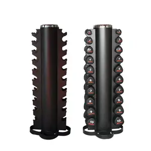 2022 SYT Hex Dumbbell Set Dumbbell Rack 10 coppie di rack per manubri da palestra cilindrici verticali per uso palestra