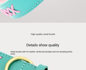 Collier et laisse pour chien à rayures en cuir Pu innovant de marque laser personnalisé - Product Image 6