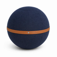 Ballon d'exercice ergonomique anti-éclatement de 65 cm de couleur personnalisée, pour soulager les douleurs dorsales, yoga, pilates, chaise de bureau, Pezziball