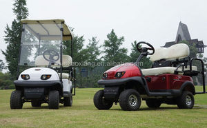 Carrito de Golf Mini de 2 Plazas en Oferta, Precio de Fábrica, Carrito de Golf Mini para Club - Product Image 1